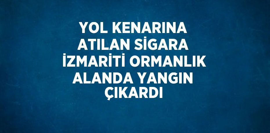 YOL KENARINA ATILAN SİGARA İZMARİTİ ORMANLIK ALANDA YANGIN ÇIKARDI