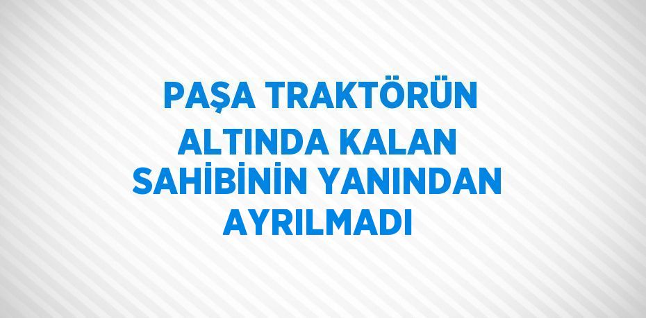 PAŞA TRAKTÖRÜN ALTINDA KALAN SAHİBİNİN YANINDAN AYRILMADI