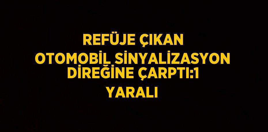 REFÜJE ÇIKAN OTOMOBİL SİNYALİZASYON DİREĞİNE ÇARPTI:1 YARALI