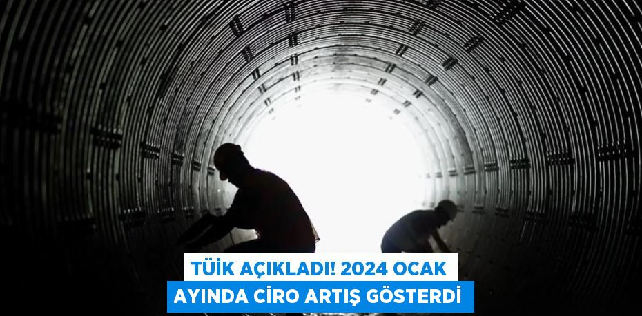 TÜİK AÇIKLADI! 2024 OCAK AYINDA CİRO ARTIŞ GÖSTERDİ