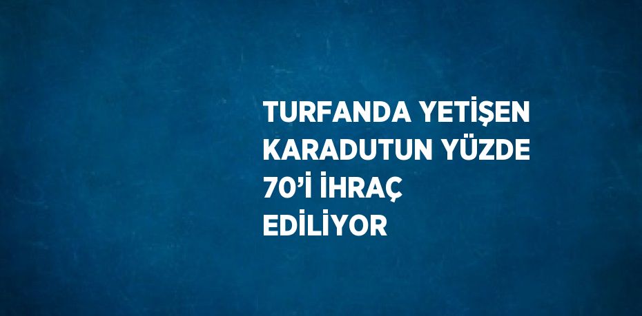 TURFANDA YETİŞEN KARADUTUN YÜZDE 70’İ İHRAÇ EDİLİYOR