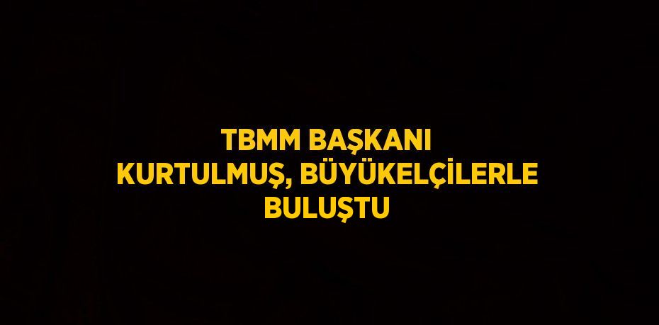 TBMM BAŞKANI KURTULMUŞ, BÜYÜKELÇİLERLE BULUŞTU