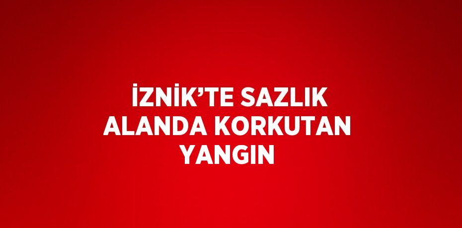 İZNİK’TE SAZLIK ALANDA KORKUTAN YANGIN