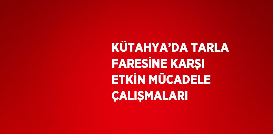 KÜTAHYA’DA TARLA FARESİNE KARŞI ETKİN MÜCADELE ÇALIŞMALARI