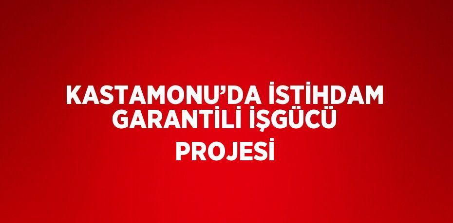 KASTAMONU’DA İSTİHDAM GARANTİLİ İŞGÜCÜ PROJESİ