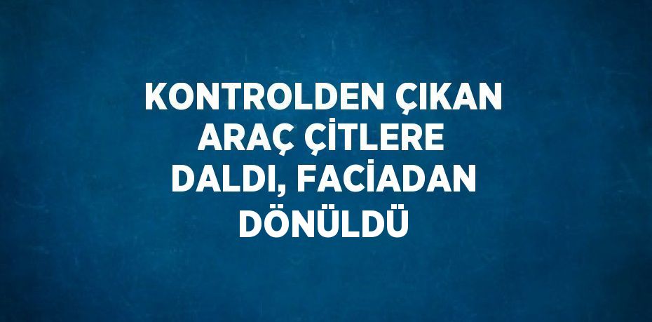 KONTROLDEN ÇIKAN ARAÇ ÇİTLERE DALDI, FACİADAN DÖNÜLDÜ