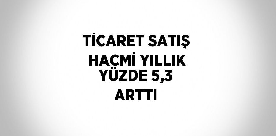 TİCARET SATIŞ HACMİ YILLIK YÜZDE 5,3 ARTTI