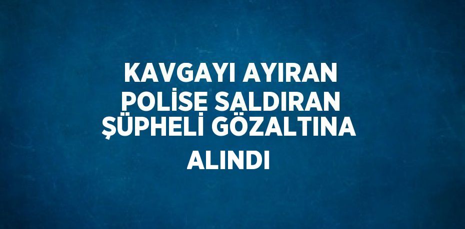 KAVGAYI AYIRAN POLİSE SALDIRAN ŞÜPHELİ GÖZALTINA ALINDI