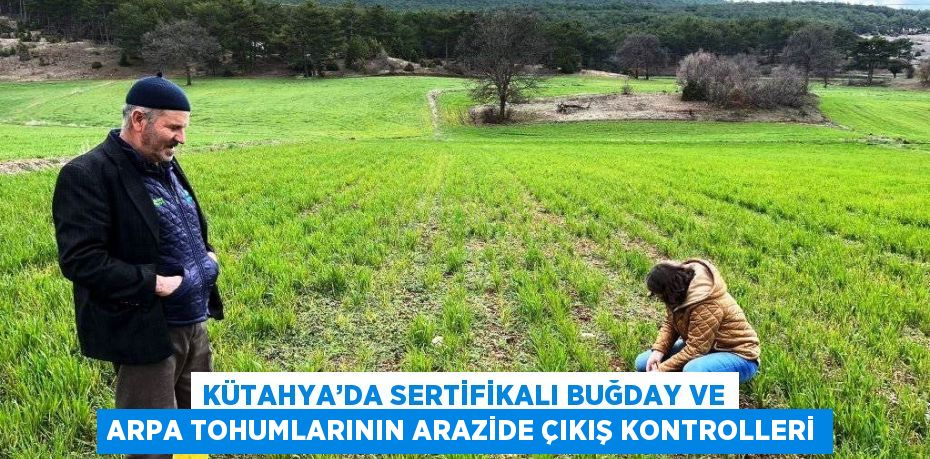 KÜTAHYA’DA SERTİFİKALI BUĞDAY VE ARPA TOHUMLARININ ARAZİDE ÇIKIŞ KONTROLLERİ