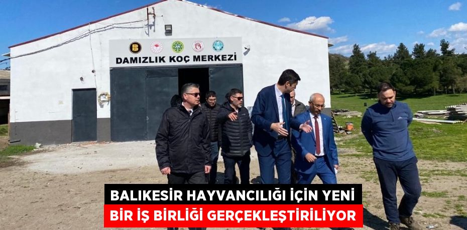 Balıkesir Hayvancılığı için Yeni Bir İş Birliği Gerçekleştiriliyor