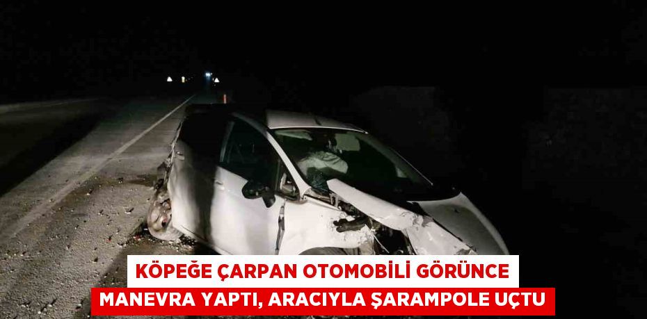 KÖPEĞE ÇARPAN OTOMOBİLİ GÖRÜNCE MANEVRA YAPTI, ARACIYLA ŞARAMPOLE UÇTU