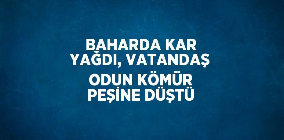 BAHARDA KAR YAĞDI, VATANDAŞ ODUN KÖMÜR PEŞİNE DÜŞTÜ