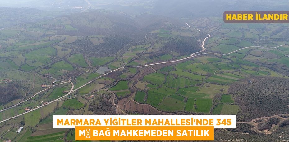 Marmara Yiğitler Mahallesi'nde 345 m² bağ mahkemeden satılık