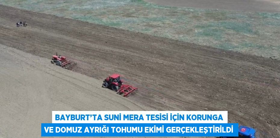 BAYBURT’TA SUNİ MERA TESİSİ İÇİN KORUNGA VE DOMUZ AYRIĞI TOHUMU EKİMİ GERÇEKLEŞTİRİLDİ