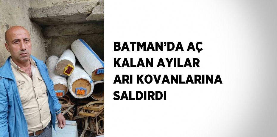 BATMAN’DA AÇ KALAN AYILAR ARI KOVANLARINA SALDIRDI