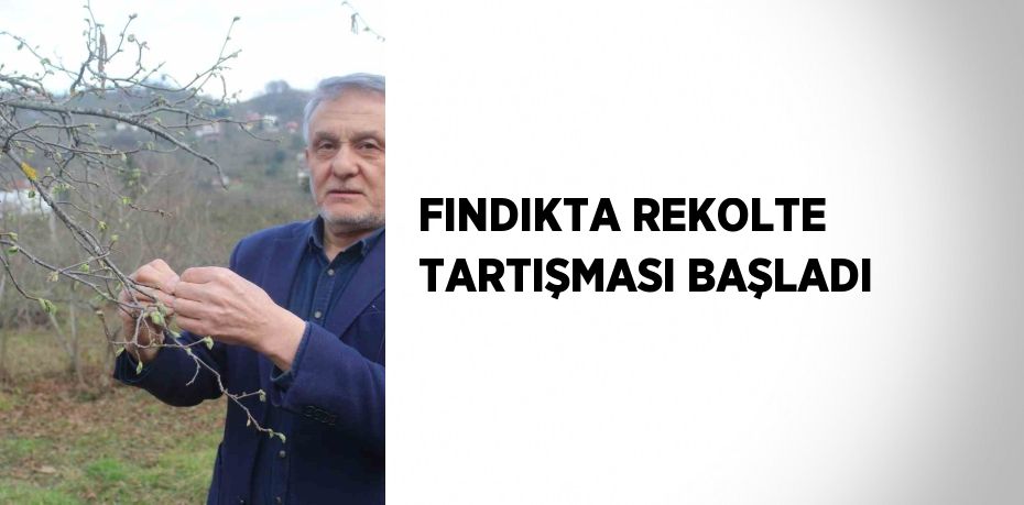 FINDIKTA REKOLTE TARTIŞMASI BAŞLADI