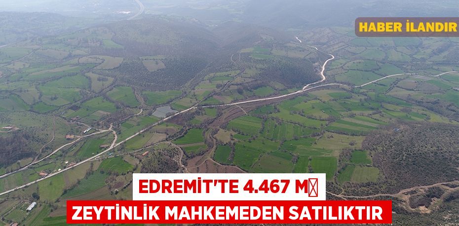 Edremit'te 4.467 m² zeytinlik mahkemeden satılıktır