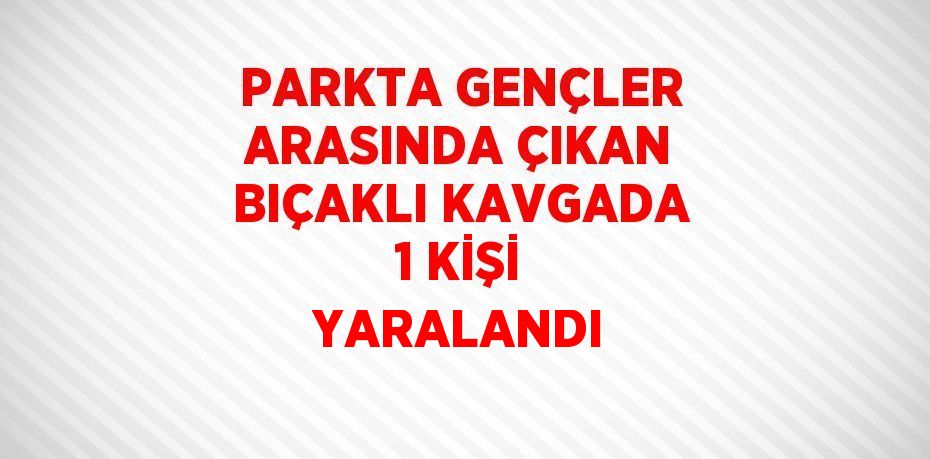 PARKTA GENÇLER ARASINDA ÇIKAN BIÇAKLI KAVGADA 1 KİŞİ YARALANDI