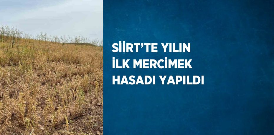 SİİRT’TE YILIN İLK MERCİMEK HASADI YAPILDI