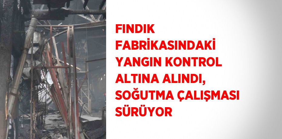 FINDIK FABRİKASINDAKİ YANGIN KONTROL ALTINA ALINDI, SOĞUTMA ÇALIŞMASI SÜRÜYOR