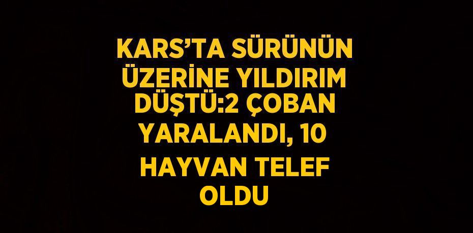KARS’TA SÜRÜNÜN ÜZERİNE YILDIRIM DÜŞTÜ:2 ÇOBAN YARALANDI, 10 HAYVAN TELEF OLDU