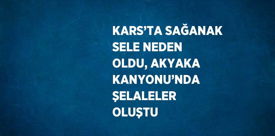 KARS’TA SAĞANAK SELE NEDEN OLDU, AKYAKA KANYONU’NDA ŞELALELER OLUŞTU