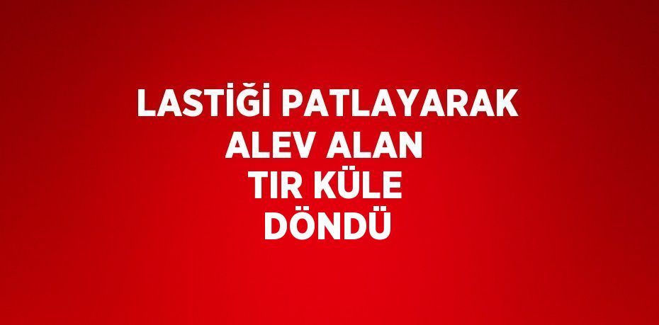 LASTİĞİ PATLAYARAK ALEV ALAN TIR KÜLE DÖNDÜ