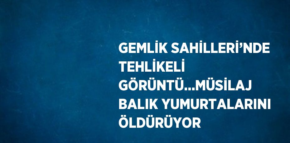 GEMLİK SAHİLLERİ’NDE TEHLİKELİ GÖRÜNTÜ...MÜSİLAJ BALIK YUMURTALARINI ÖLDÜRÜYOR