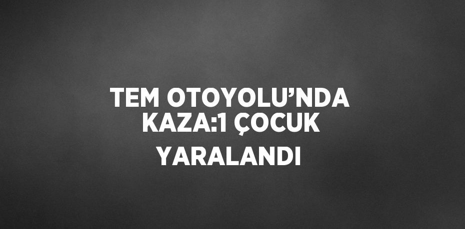 TEM OTOYOLU’NDA KAZA:1 ÇOCUK YARALANDI