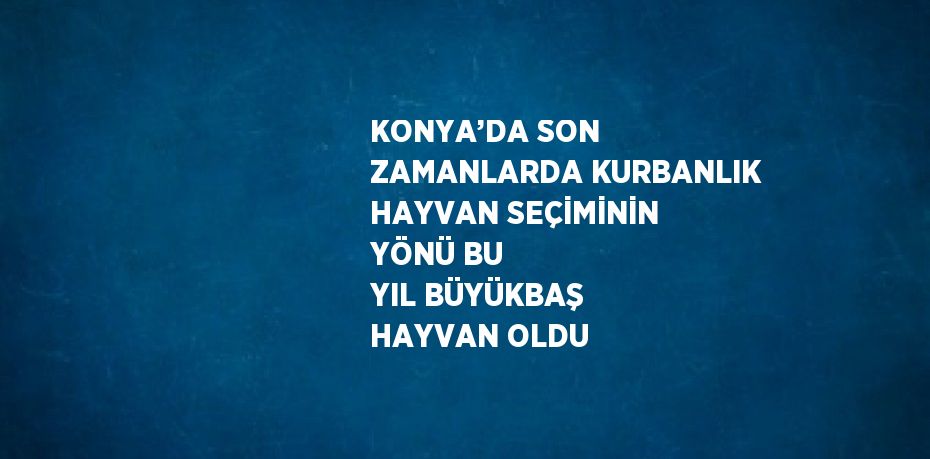 KONYA’DA SON ZAMANLARDA KURBANLIK HAYVAN SEÇİMİNİN YÖNÜ BU YIL BÜYÜKBAŞ HAYVAN OLDU