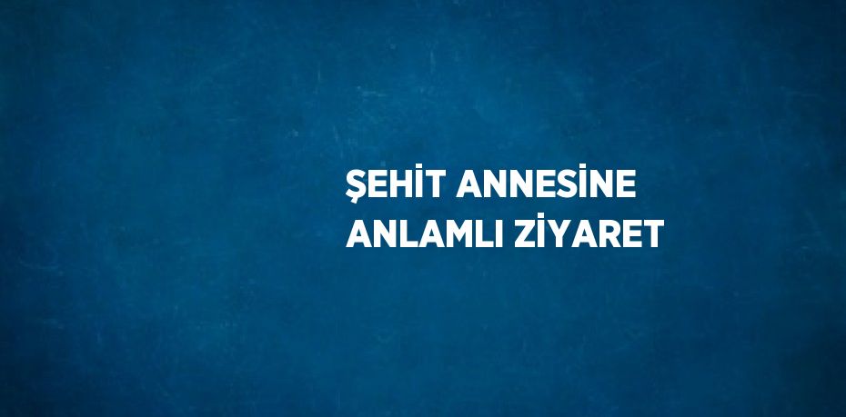 ŞEHİT ANNESİNE ANLAMLI ZİYARET