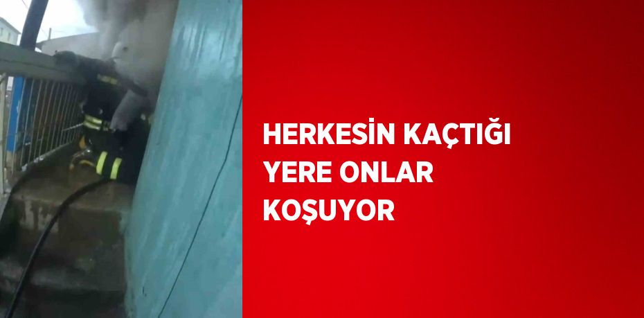 HERKESİN KAÇTIĞI YERE ONLAR KOŞUYOR