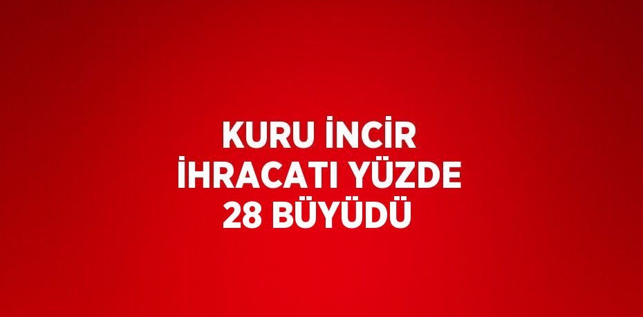 KURU İNCİR İHRACATI YÜZDE 28 BÜYÜDÜ