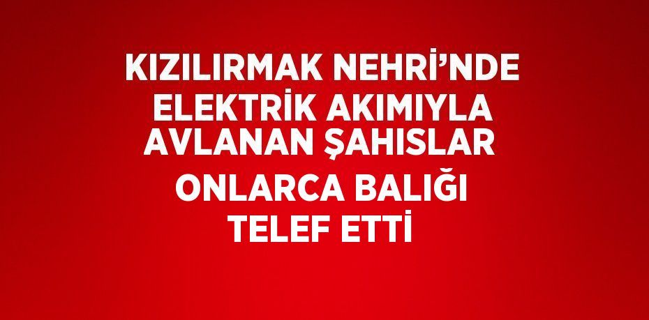 KIZILIRMAK NEHRİ’NDE ELEKTRİK AKIMIYLA AVLANAN ŞAHISLAR ONLARCA BALIĞI TELEF ETTİ