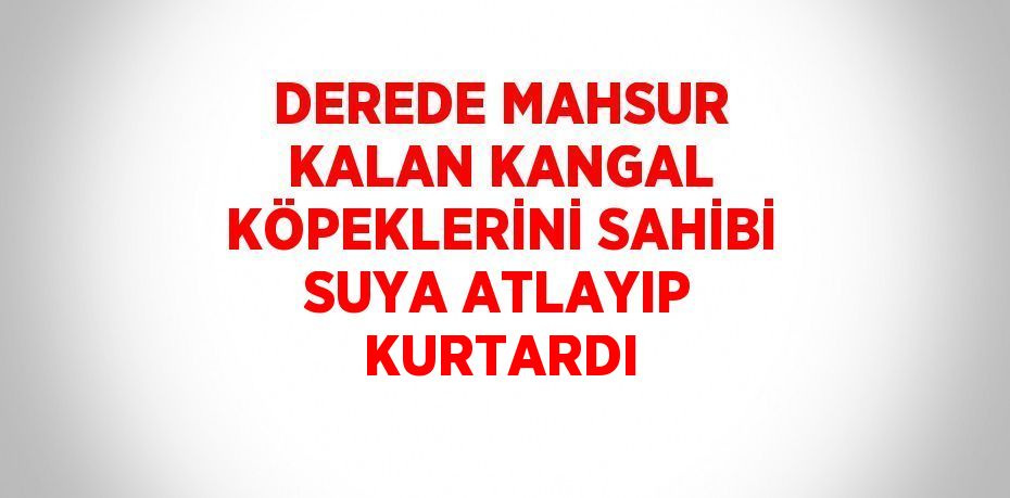 DEREDE MAHSUR KALAN KANGAL KÖPEKLERİNİ SAHİBİ SUYA ATLAYIP KURTARDI