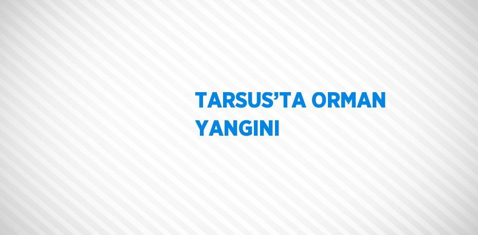TARSUS’TA ORMAN YANGINI