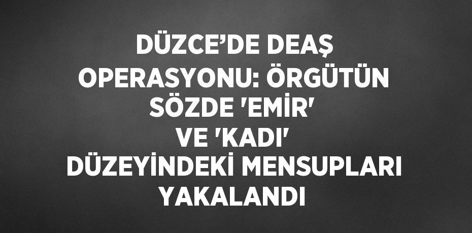 DÜZCE’DE DEAŞ OPERASYONU: ÖRGÜTÜN SÖZDE 'EMİR' VE 'KADI' DÜZEYİNDEKİ MENSUPLARI YAKALANDI