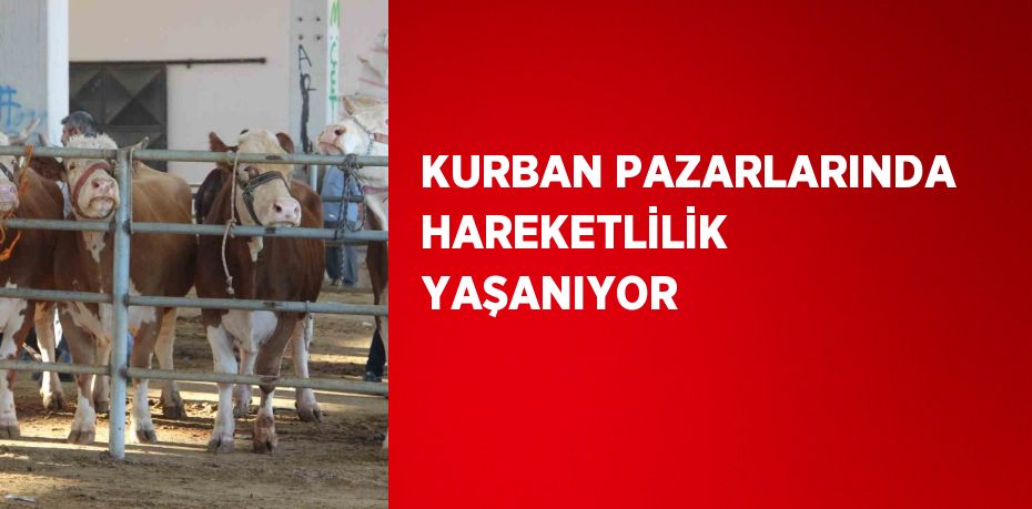 KURBAN PAZARLARINDA HAREKETLİLİK YAŞANIYOR