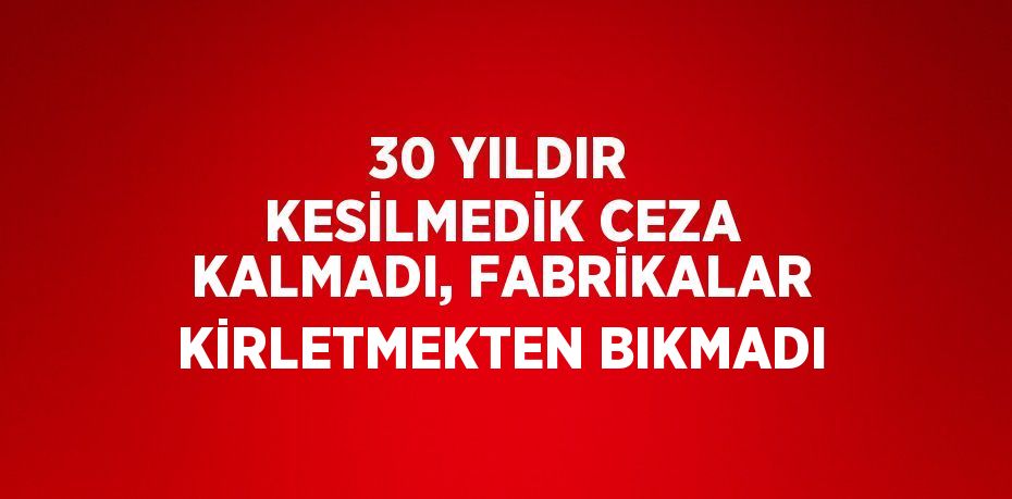 30 YILDIR KESİLMEDİK CEZA KALMADI, FABRİKALAR KİRLETMEKTEN BIKMADI