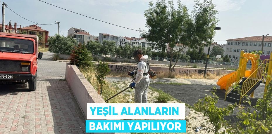 YEŞİL ALANLARIN BAKIMI YAPILIYOR