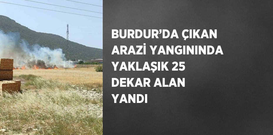 BURDUR’DA ÇIKAN ARAZİ YANGININDA YAKLAŞIK 25 DEKAR ALAN YANDI