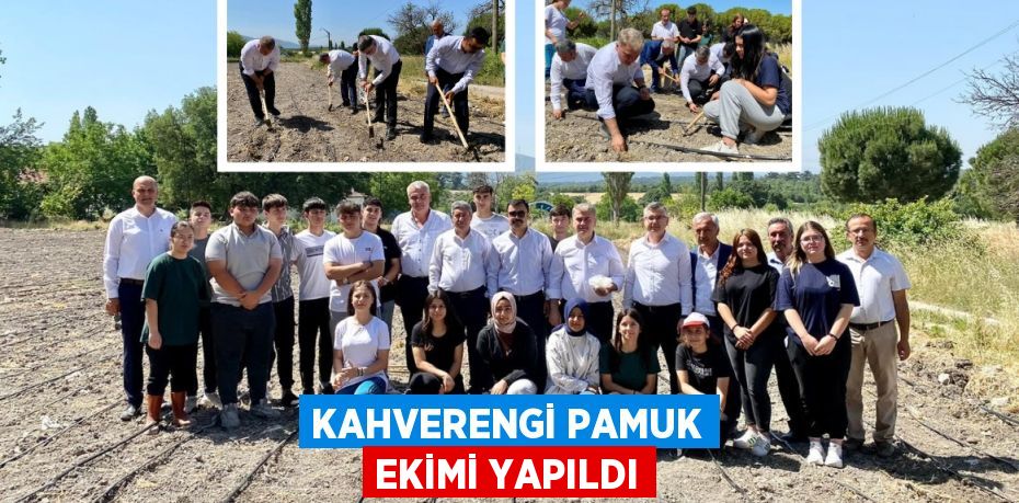 KAHVERENGİ PAMUK EKİMİ YAPILDI