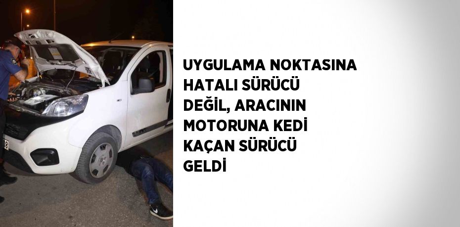 UYGULAMA NOKTASINA HATALI SÜRÜCÜ DEĞİL, ARACININ MOTORUNA KEDİ KAÇAN SÜRÜCÜ GELDİ