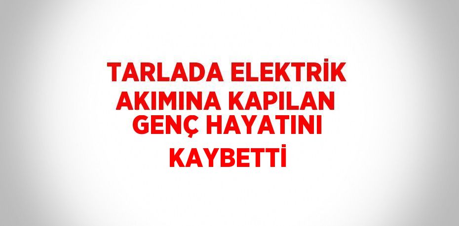 TARLADA ELEKTRİK AKIMINA KAPILAN GENÇ HAYATINI KAYBETTİ