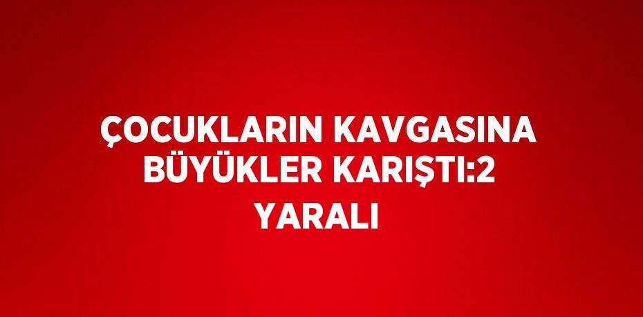 ÇOCUKLARIN KAVGASINA BÜYÜKLER KARIŞTI:2 YARALI