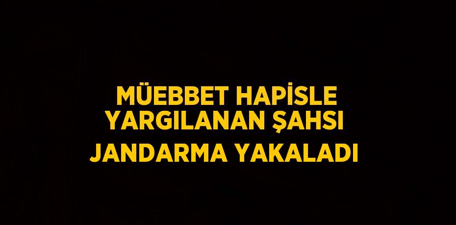 MÜEBBET HAPİSLE YARGILANAN ŞAHSI JANDARMA YAKALADI