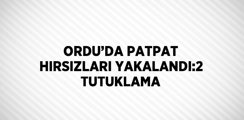 ORDU’DA PATPAT HIRSIZLARI YAKALANDI:2 TUTUKLAMA