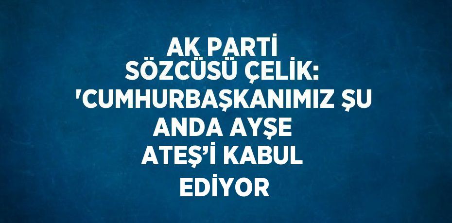 AK PARTİ SÖZCÜSÜ ÇELİK: 'CUMHURBAŞKANIMIZ ŞU ANDA AYŞE ATEŞ’İ KABUL EDİYOR