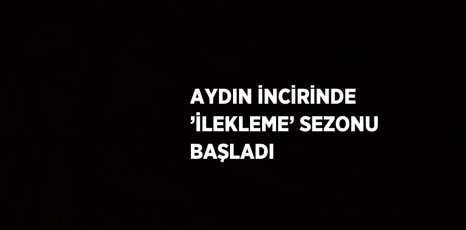 AYDIN İNCİRİNDE ’İLEKLEME’ SEZONU BAŞLADI