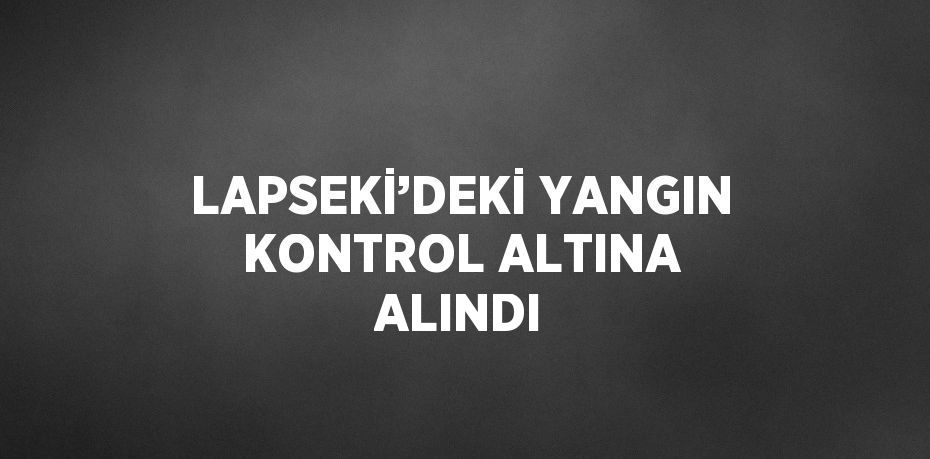 LAPSEKİ’DEKİ YANGIN KONTROL ALTINA ALINDI